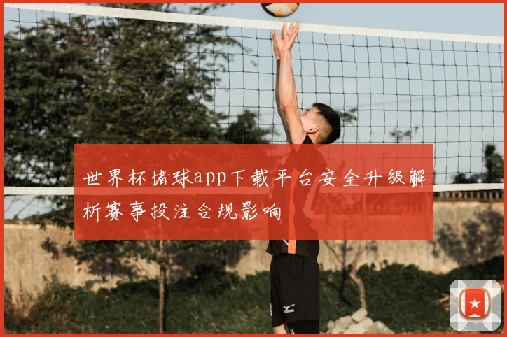世界杯堵球app下载平台安全升级解析赛事投注合规影响