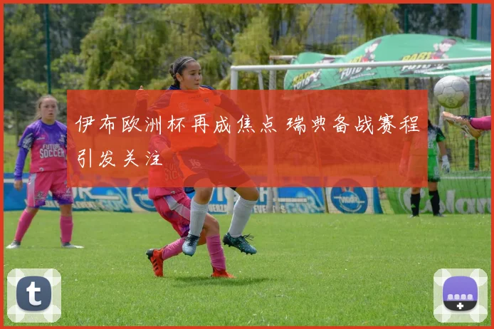 伊布欧洲杯再成焦点 瑞典备战赛程引发关注