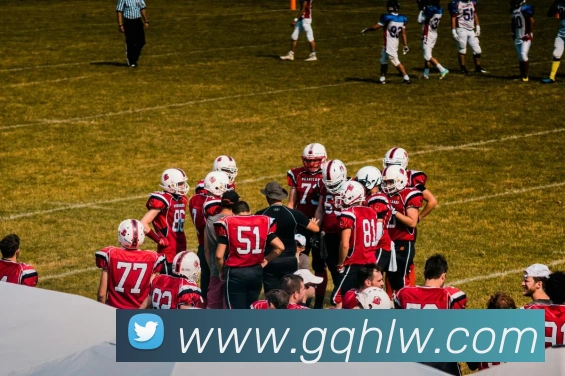 东升国际手机版下载发展历程