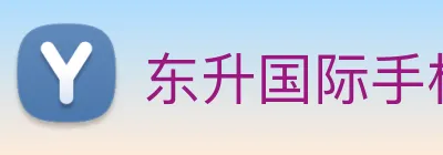 东升国际手机版下载 logo
